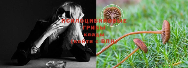 альфа пвп Елизово