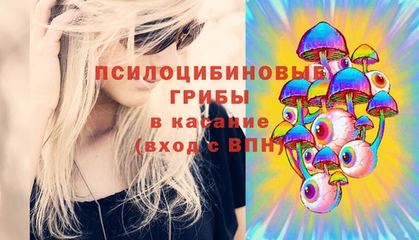 ПСИЛОЦИБИНОВЫЕ ГРИБЫ Иноземцево